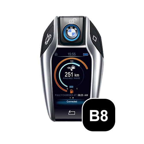 BMW Schlüsselform (B8)